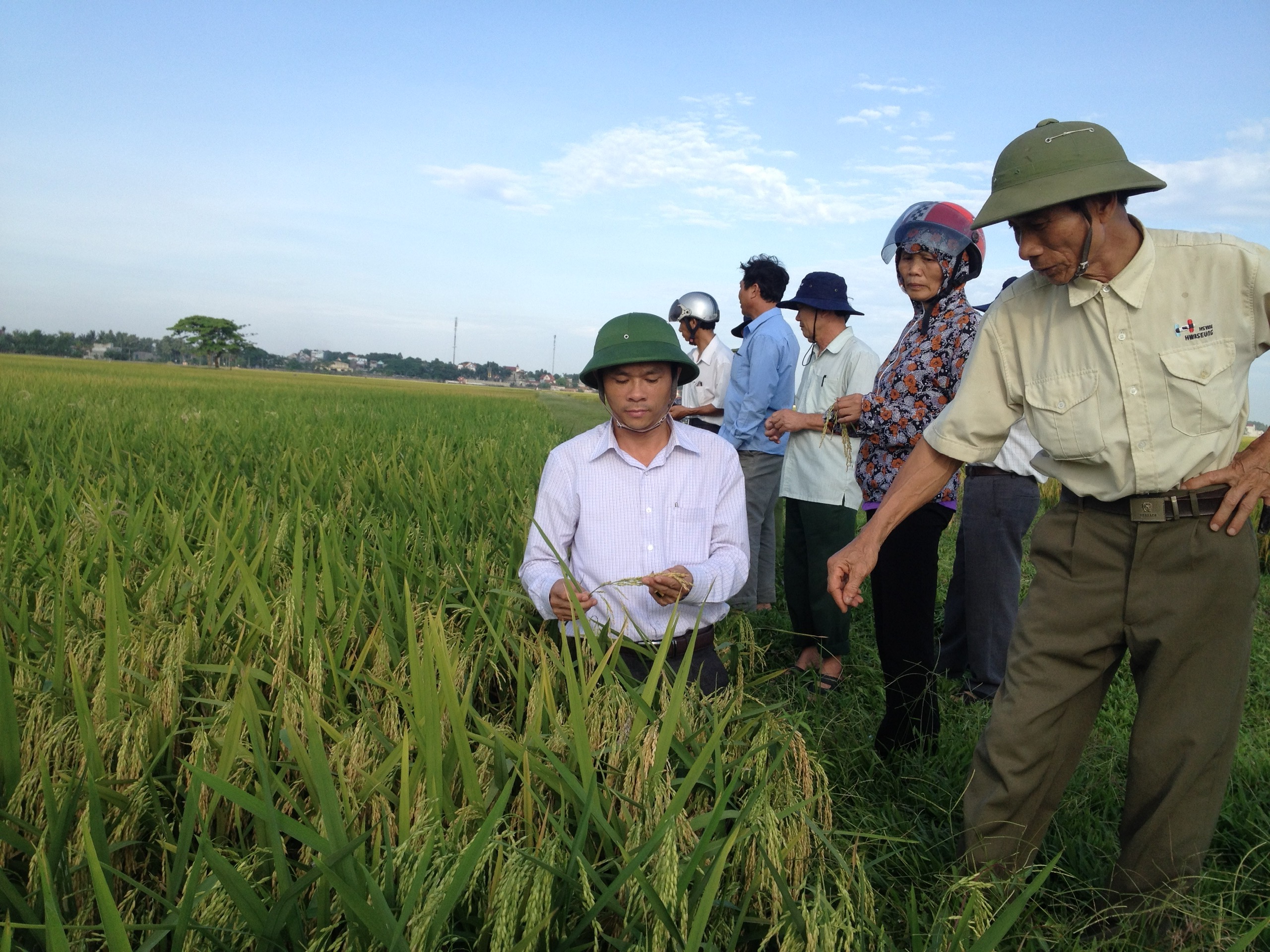 Hiệu quả kinh tế từ đề án Tái cơ cấu ngành nông nghiệp trên địa bàn xã Quảng Ngọc
